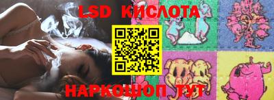 индика Брянск