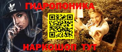 индика Брянск