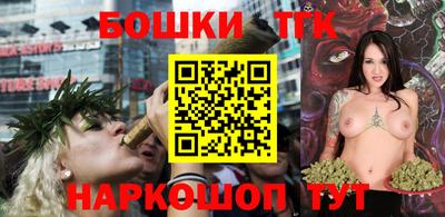 индика Брянск